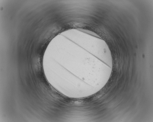 X0000064750506200603131347