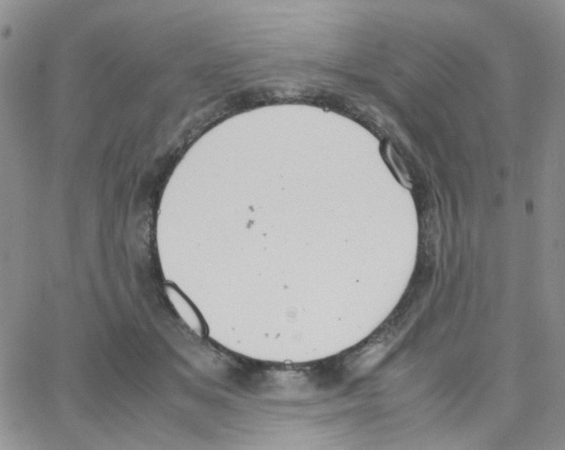 X0000064750509200603131347