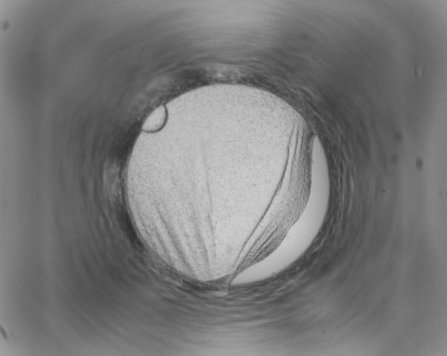 X0000064750511200603131347