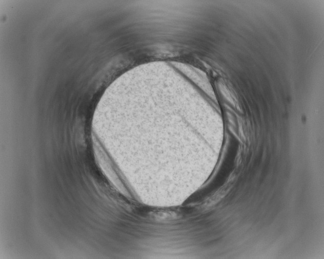 X0000064750512200603131347