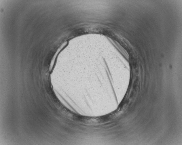 X0000064750513200603131347