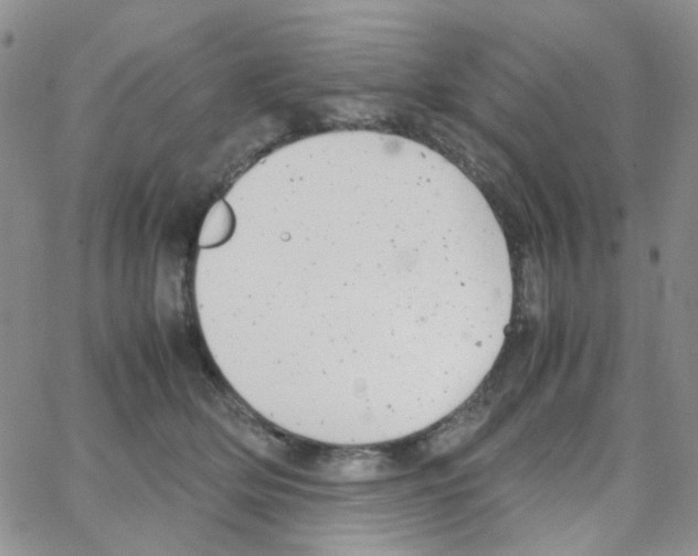 X0000064750514200603131347