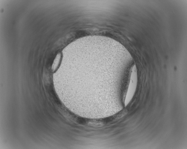 X0000064750515200603131347