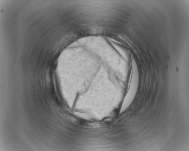 X0000064750516200603131347