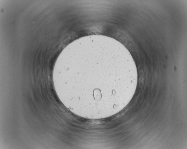 X0000064750518200603131347