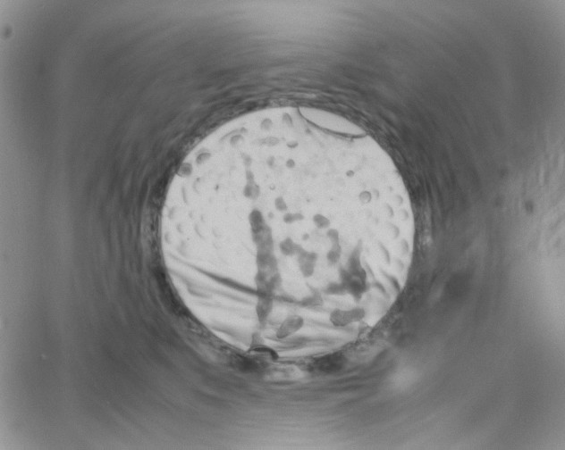 X0000064750519200603131347