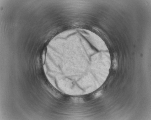 X0000064750520200603131347