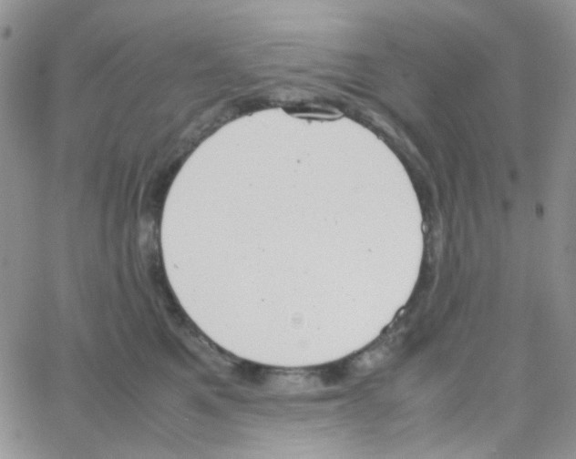 X0000064750521200603131347