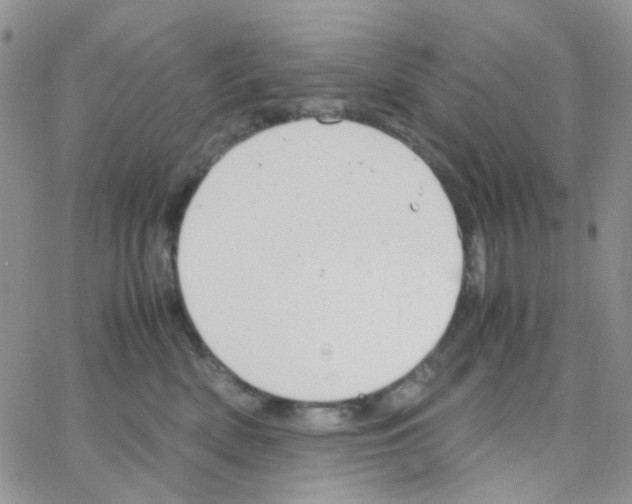 X0000064750522200603131346