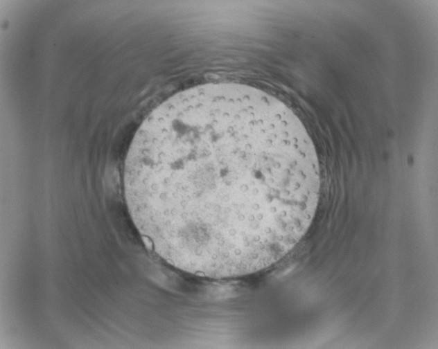 X0000064750523200603131346