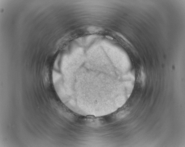 X0000064750524200603131346