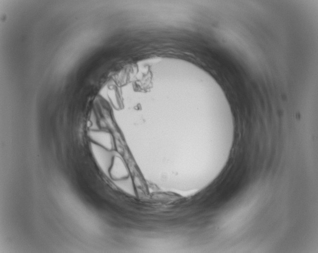 X0000064750525200603131346