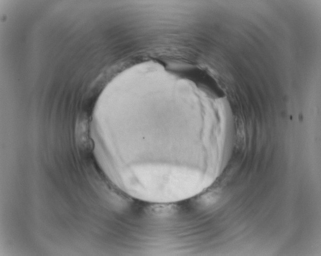 X0000064750526200603131346