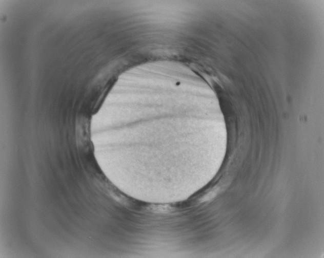 X0000064750528200603131346