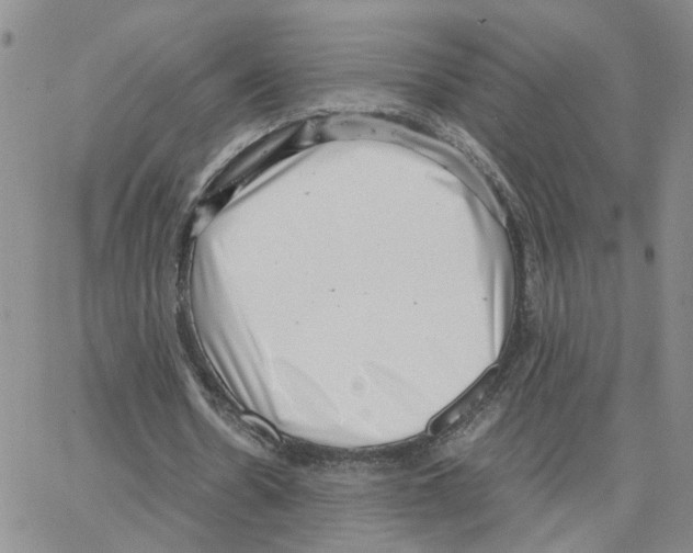 X0000064750530200603131346