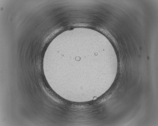 X0000064750533200603131346