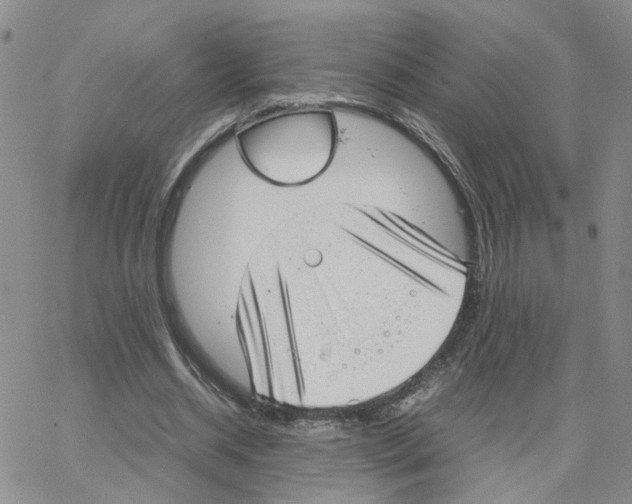 X0000064750534200603131346