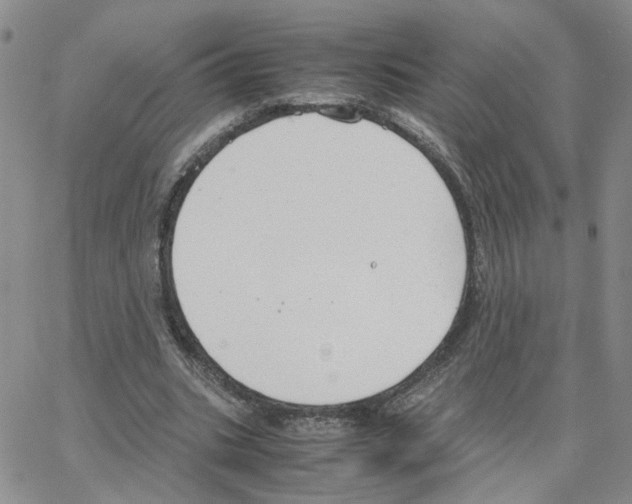 X0000064750535200603131346