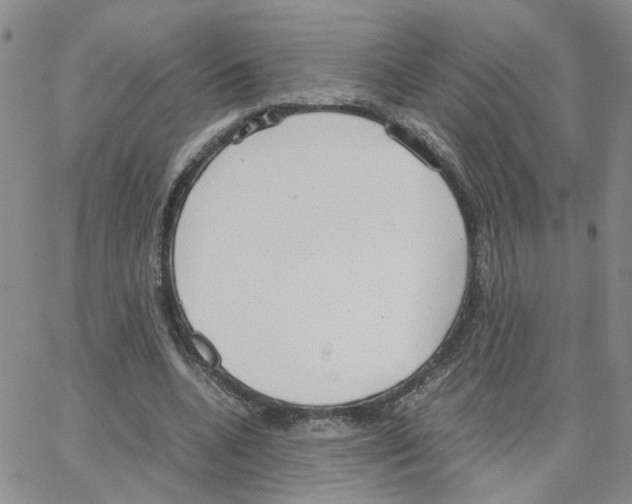 X0000064750536200603131346