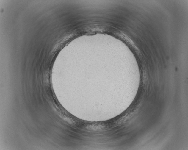 X0000064750537200603131346