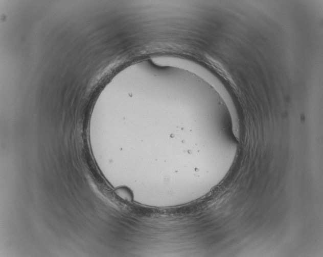 X0000064750538200603131346