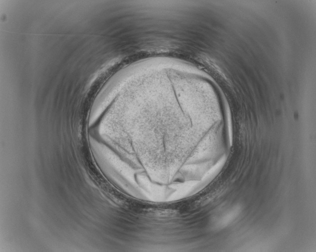 X0000064750539200603131346