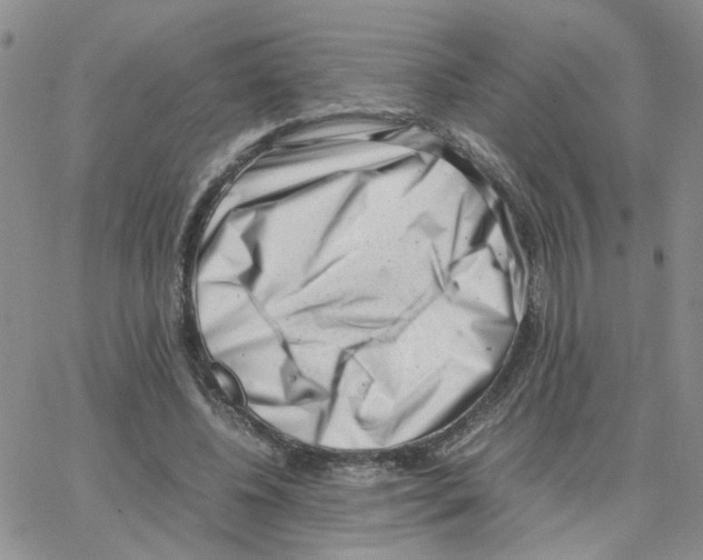 X0000064750540200603131346