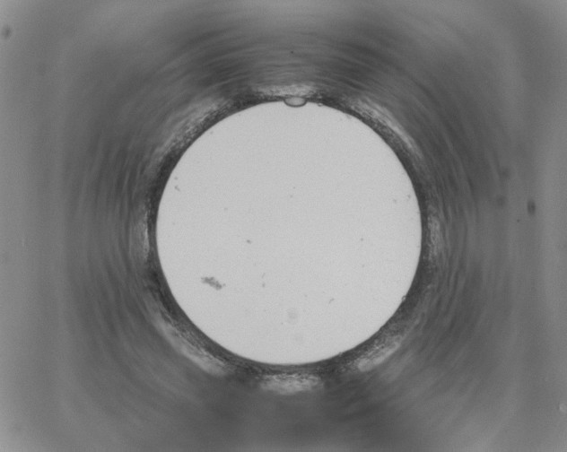 X0000064750541200603131346