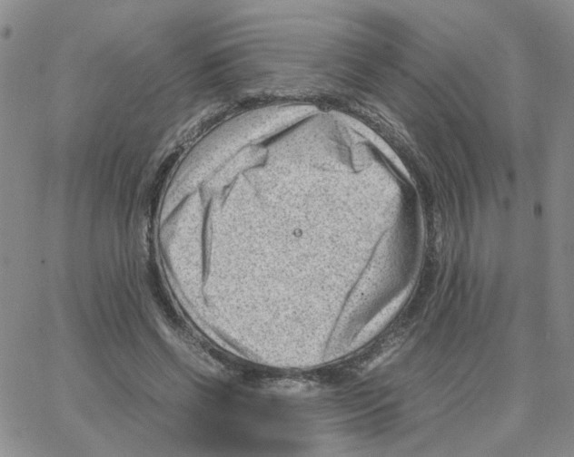 X0000064750542200603131346