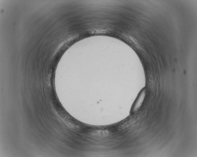 X0000064750543200603131346