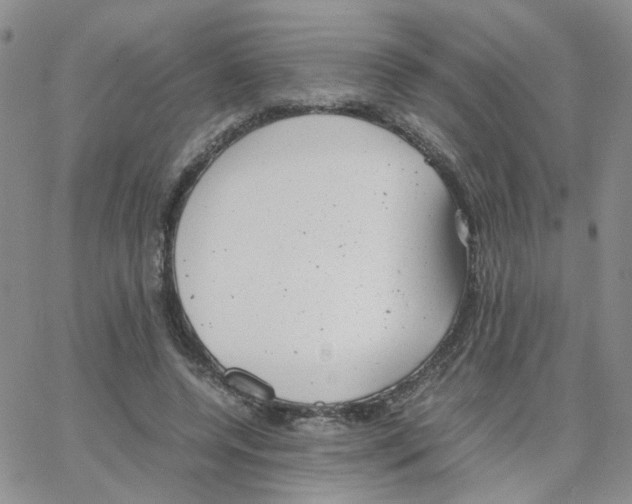 X0000064750544200603131346