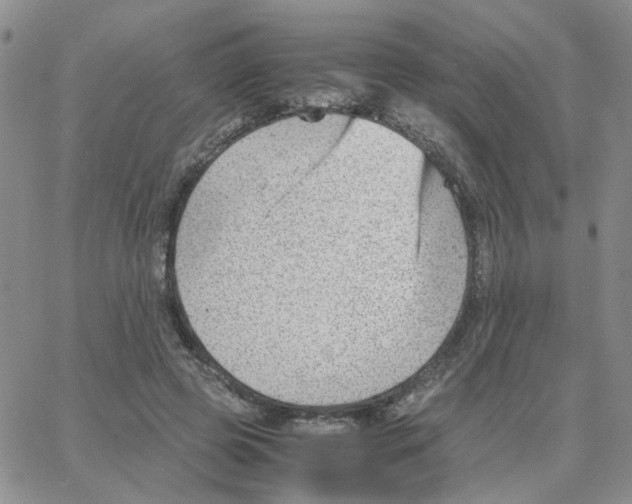 X0000064750545200603131346