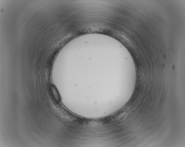 X0000064750546200603131346