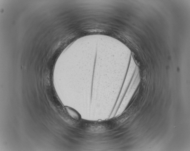 X0000064750547200603131346