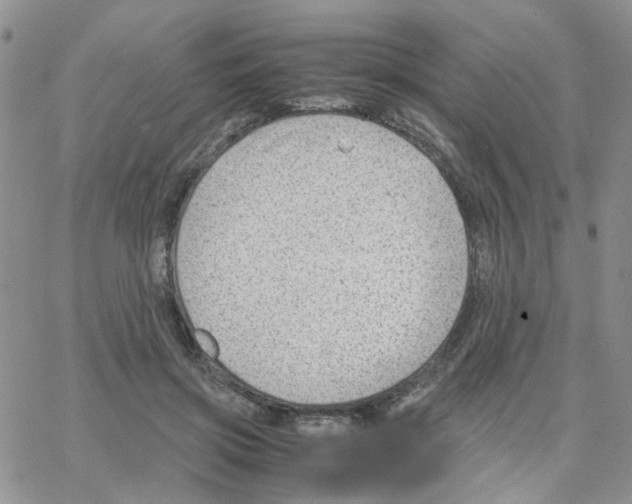 X0000064750549200603131346