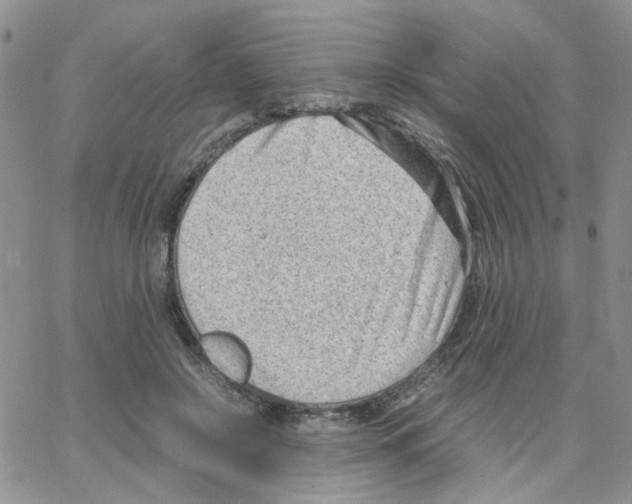 X0000064750550200603131346