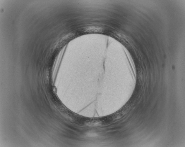 X0000064750551200603131346