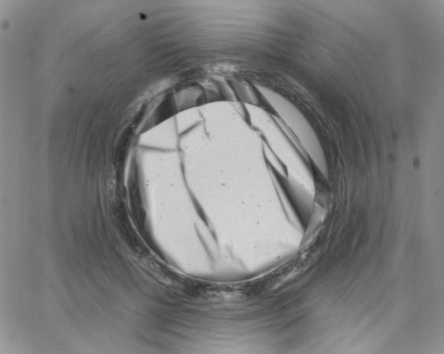 X0000064750552200603131346