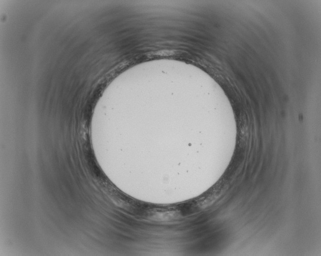 X0000064750555200603131346