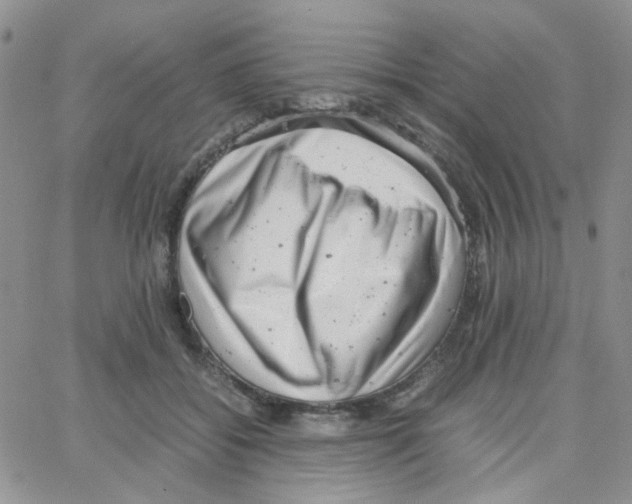 X0000064750556200603131346