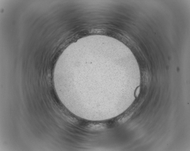 X0000064750557200603131346