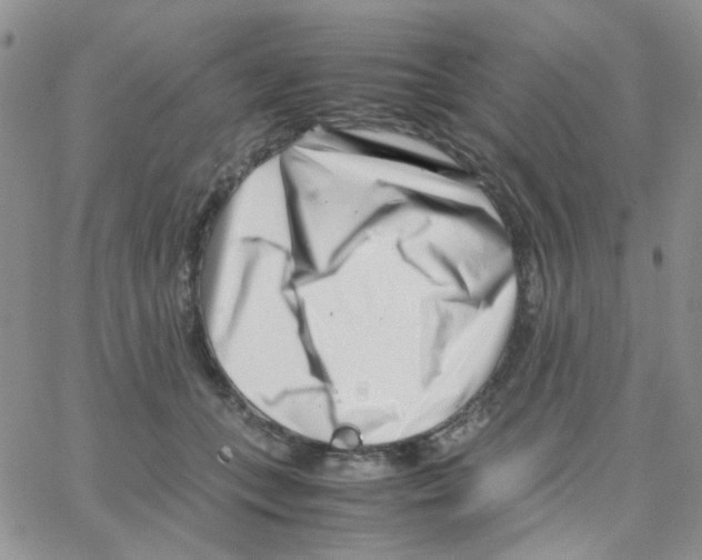 X0000064750559200603131346