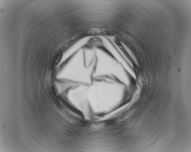 X0000064750560200603131346