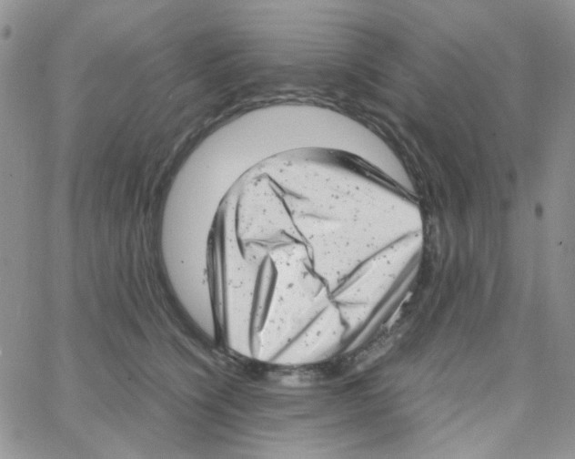 X0000064750564200603131346