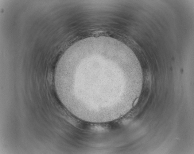 X0000064750565200603131346