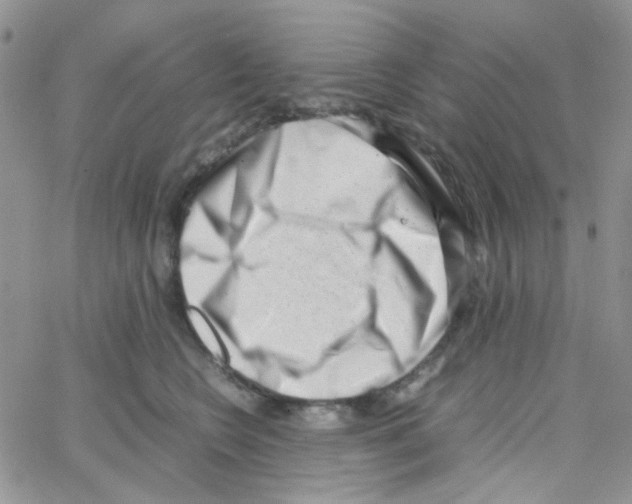 X0000064750566200603131346