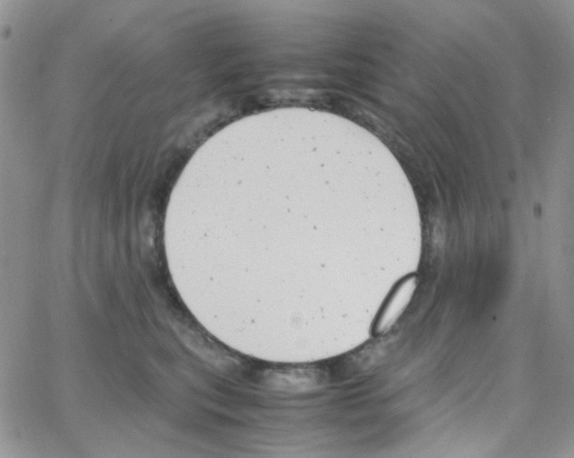 X0000064750567200603131346