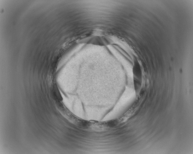 X0000064750568200603131346