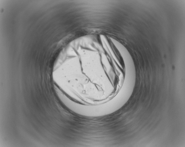 X0000064750570200603131346