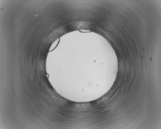 X0000064750571200603131346